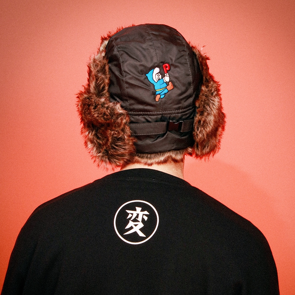 ��ͽ��11�����١��̶ˤ����ĥե饤��CAP