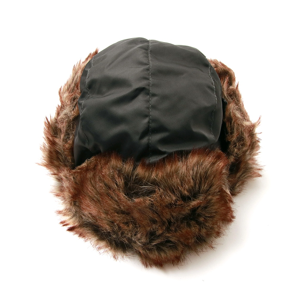 ��ͽ��11�����١��̶ˤ����ĥե饤��CAP