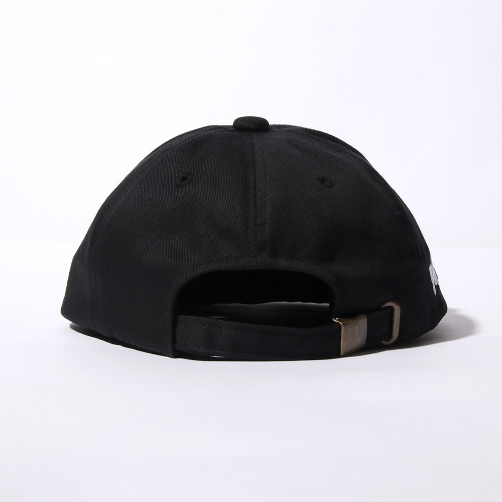 ܤѤäĤоCAP