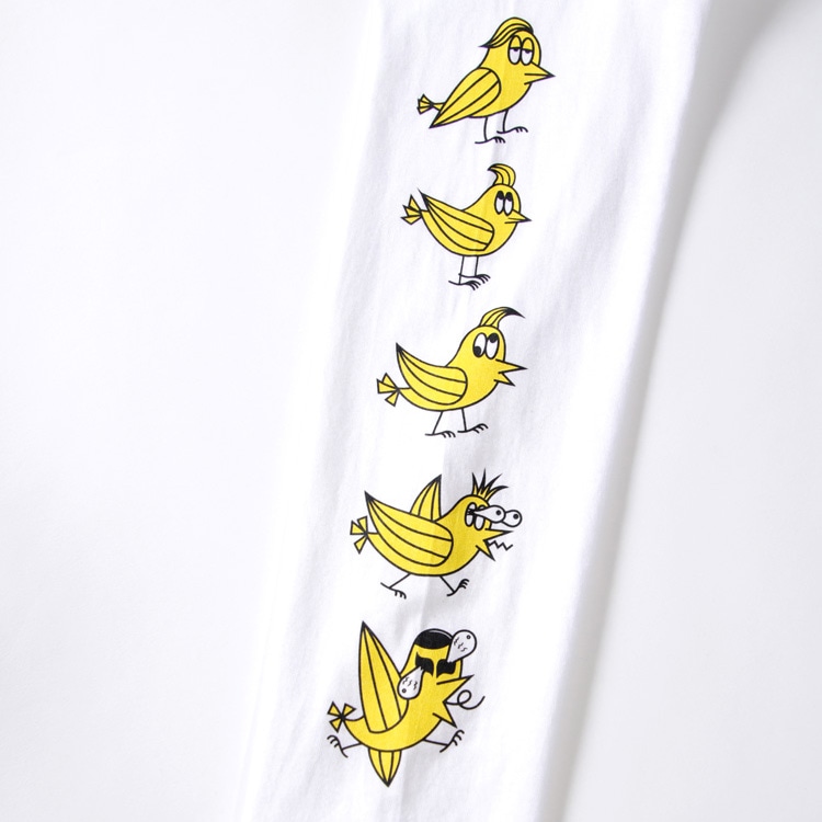 ��PDSxBYRD�� BYRD����TEE