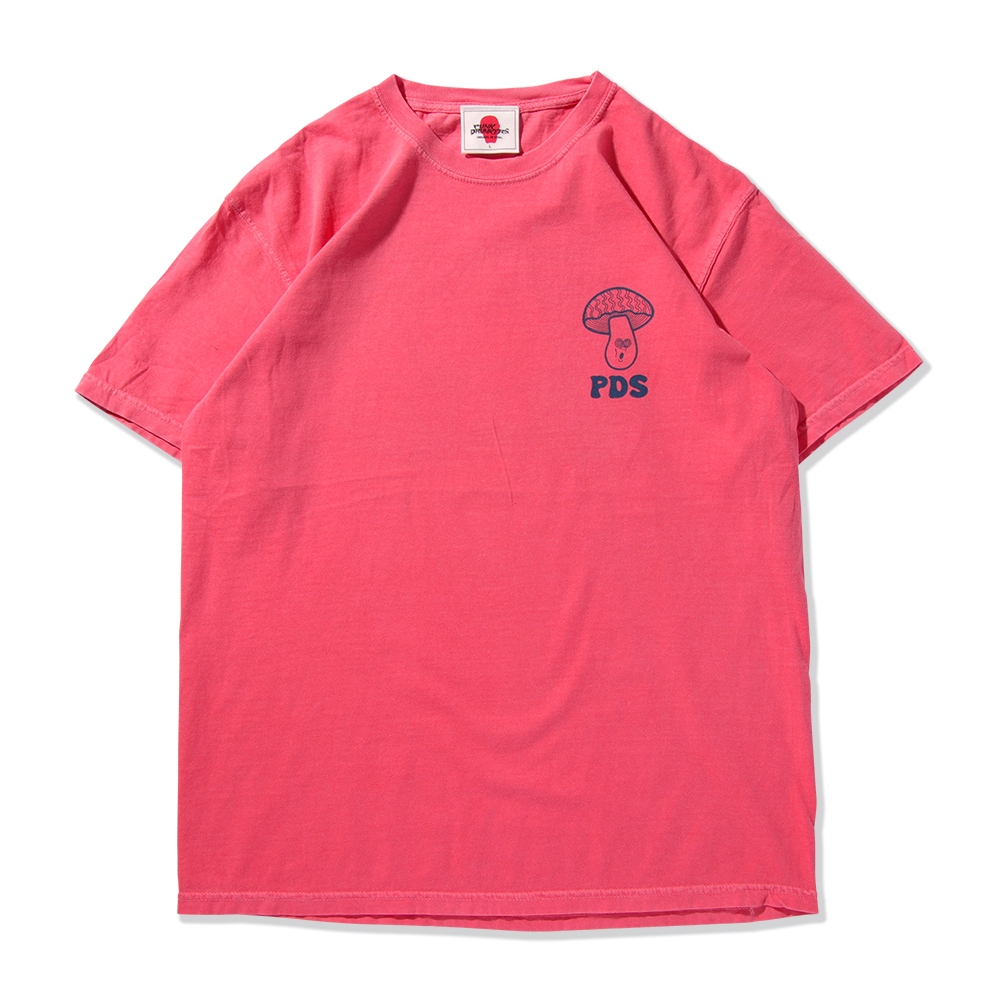 �ǥ��Υ�TEE