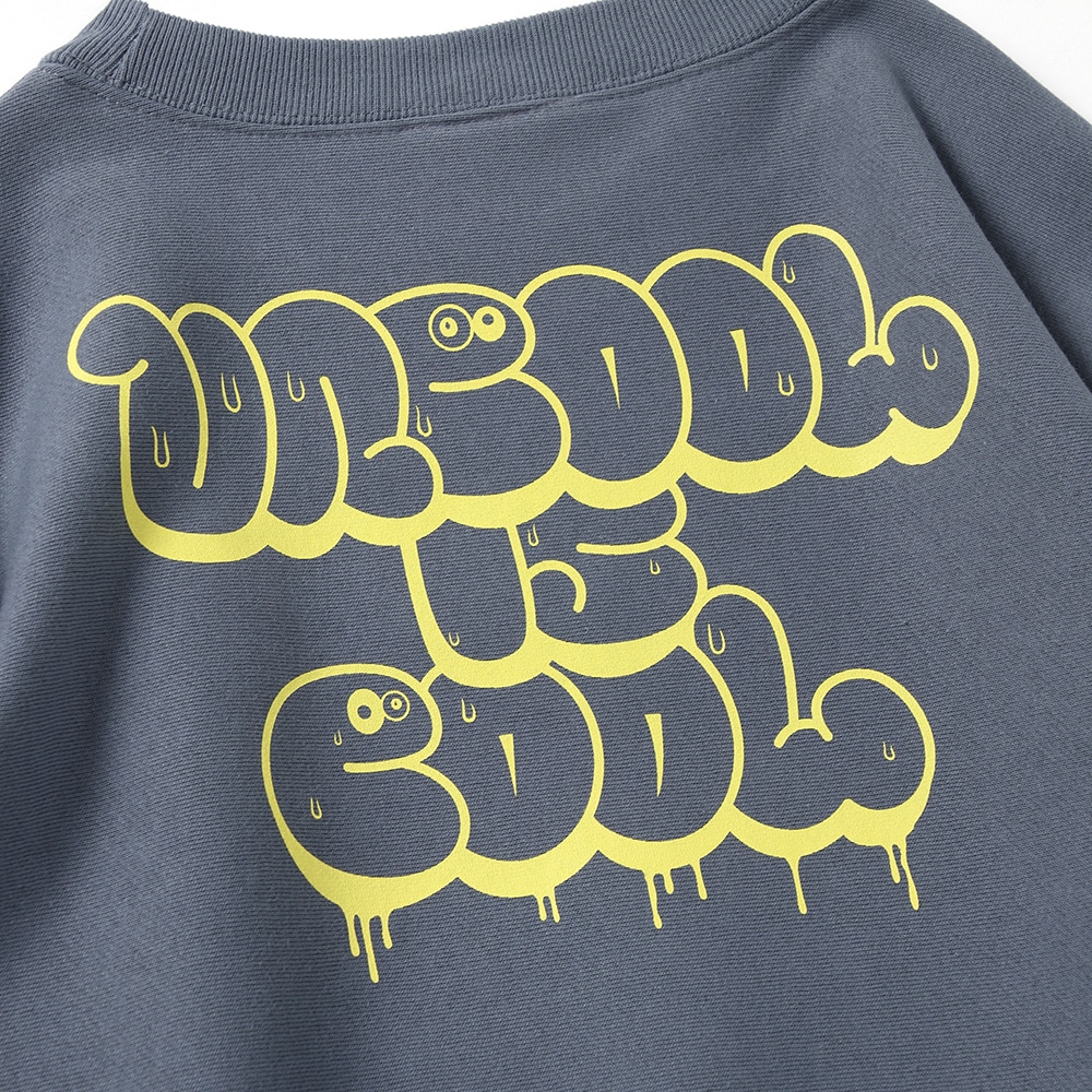 �ѥ󥯥ɥ�������ȥ졼�ʡ�