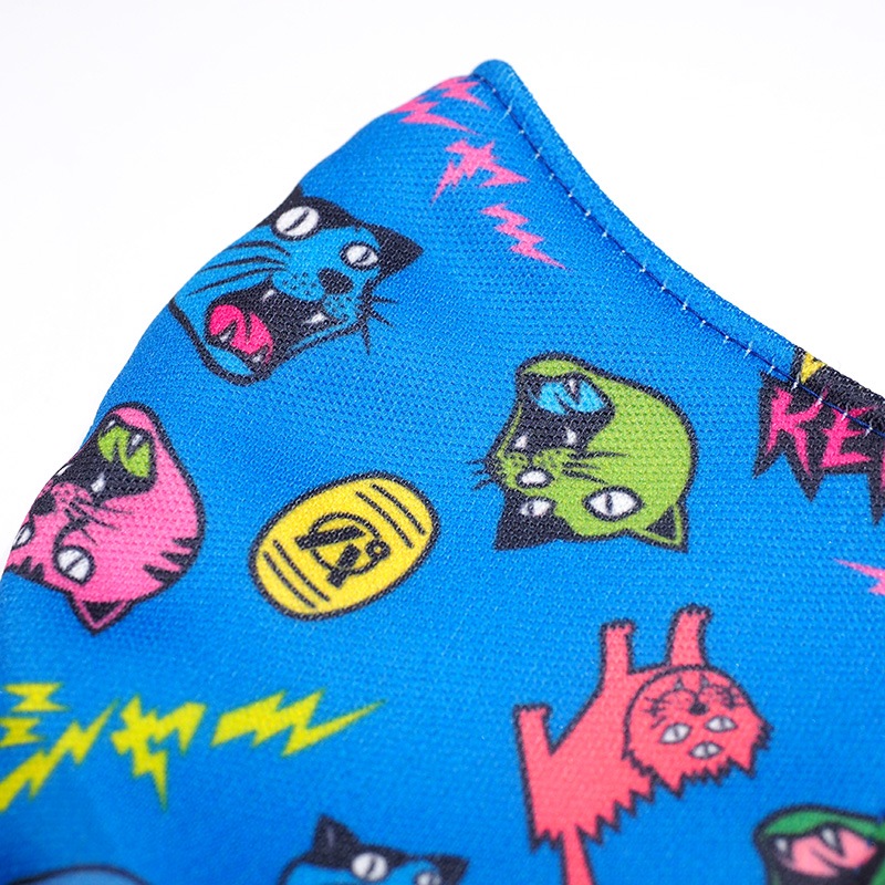 PDS�����ޥ��� / �˥㡼