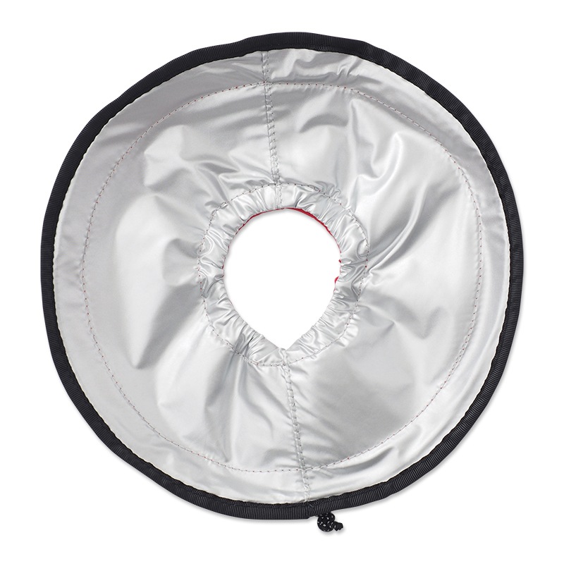 �ε֥����ѡ����ϥեꥹ�ӡ����ץ�������