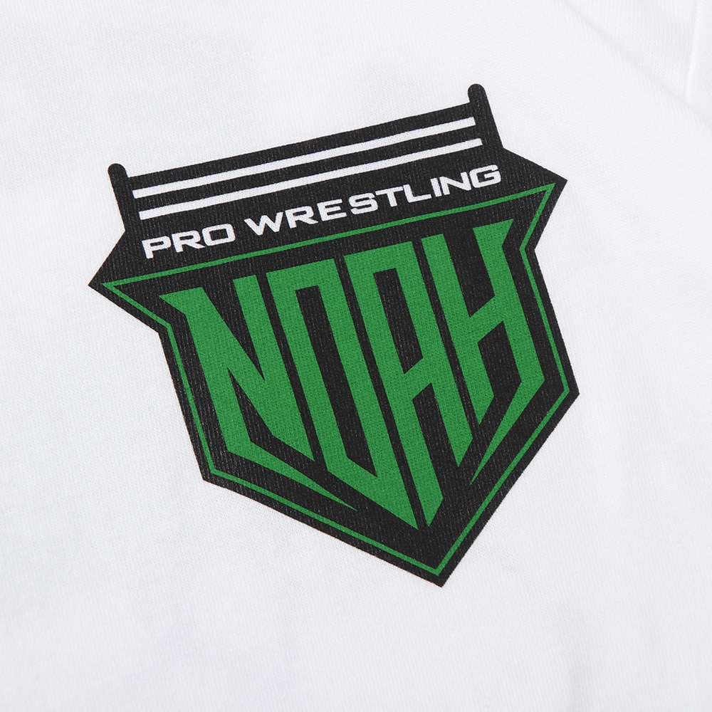 ��PDSxNOAH�ϻ���vs������TEE