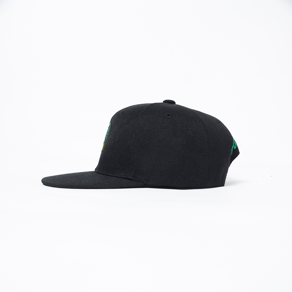 ꥢCAP