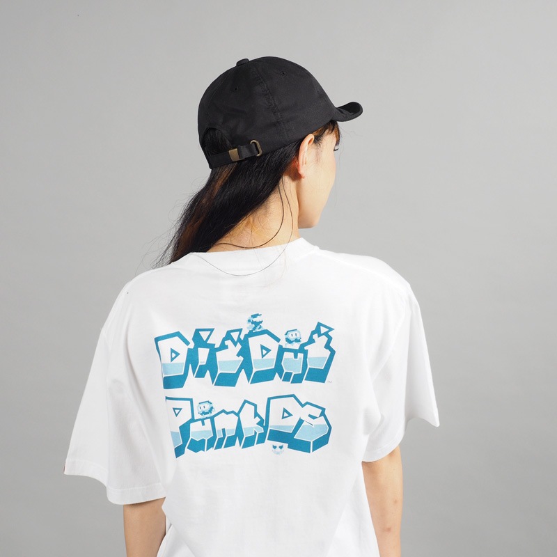 ��PDSxDIGDUG�ϥǥ�������TEE