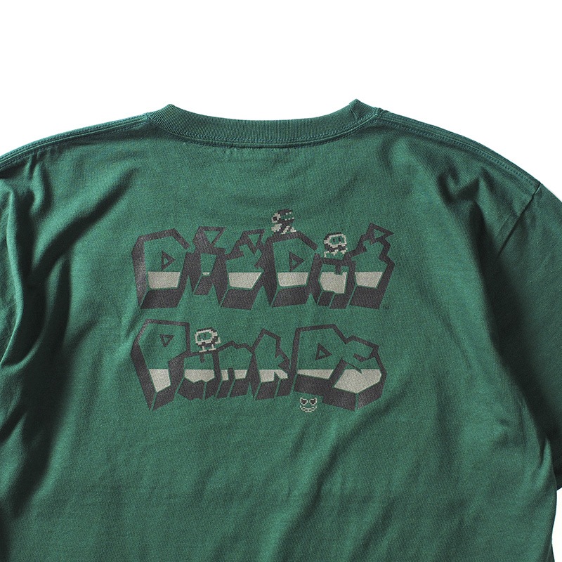 ��PDSxDIGDUG�ϥǥ�������TEE