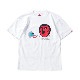 ��PDSxDIGDUG�ϥǥ�������TEE