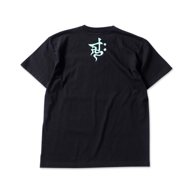 ��PDSx��ޥ����Υꥫ���ϥ֥å��󥯲�TEE