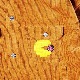 ��PDSxPAC-MAN��̾�ͥ����ǥ����JKT