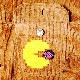 ��PDSxPAC-MAN��̾�ͥ����ǥ����JKT