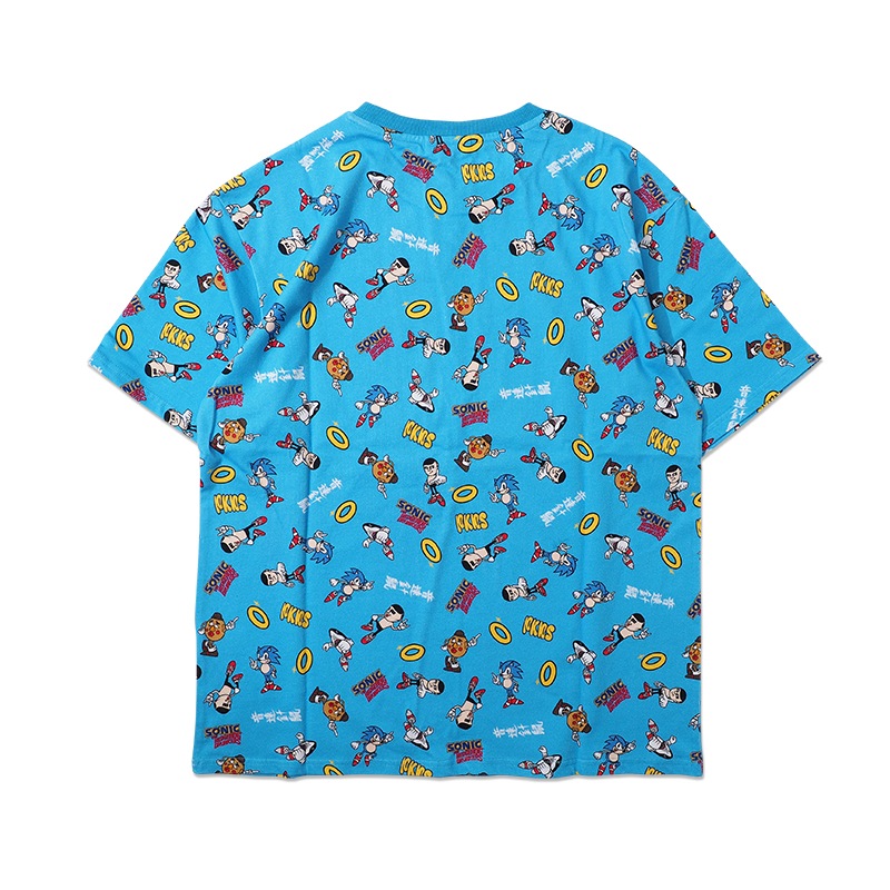 ��PDSxSONIC�ϥ��˥å�����TEE