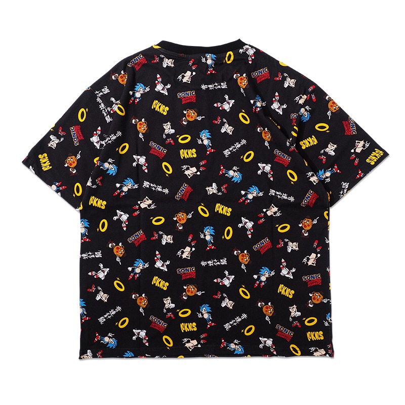 ��PDSxSONIC�ϥ��˥å�����TEE