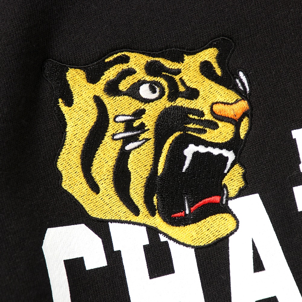 ͽ11١ۡPDSx2025꡼ͥǰѡ