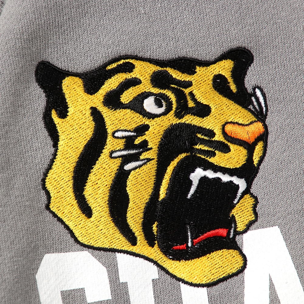 ��PDSx���������������2025�꡼��ͥ����ǰ�ѡ���