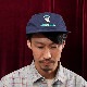 PDSx㡼ȥ륺ϥɥƥʤCAP