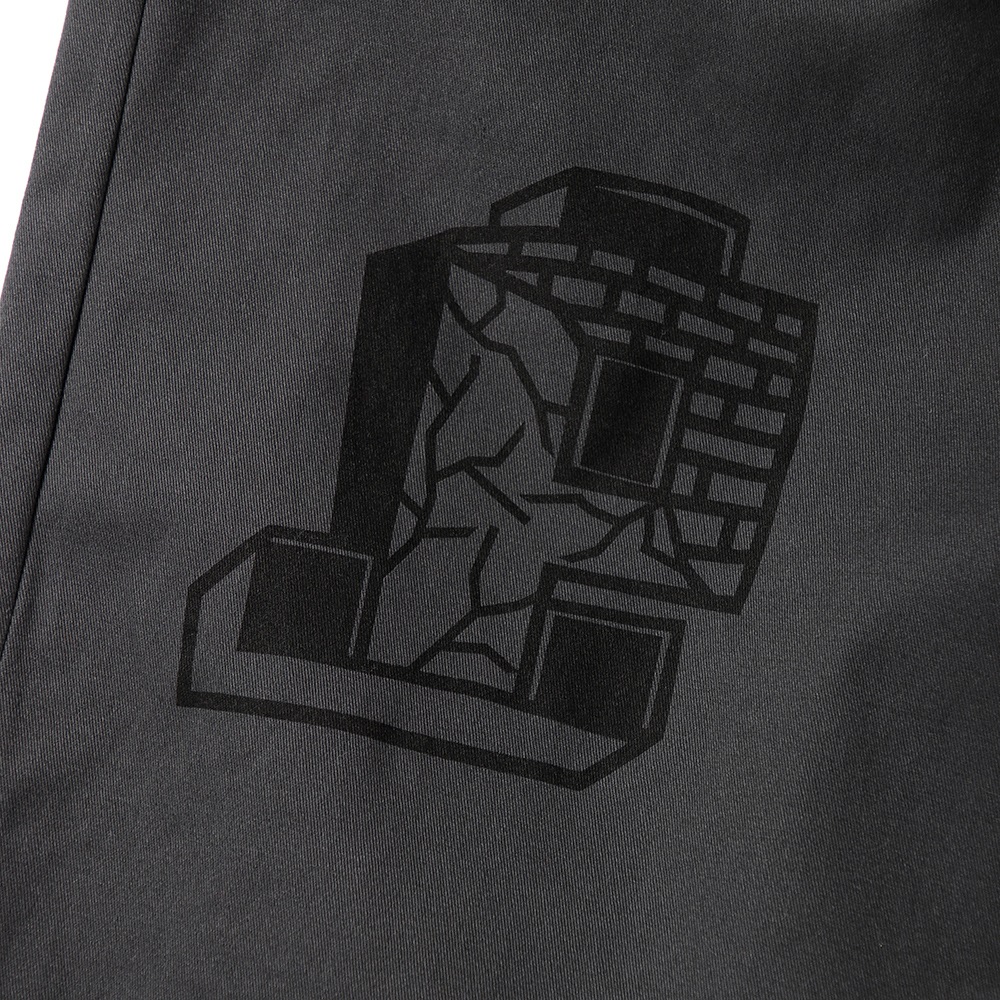 �ץ��Ȥ��äѤ����Υѥ�