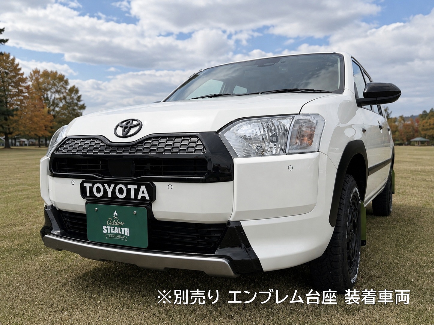 160プロボックス （後期車）ハーフメッシュグリル専用 ペイント済み品