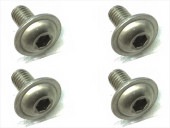 ������إå����ե�󥸥ӥ� 3��6 Titanium hex flange screw 3��6