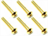 3��16 ���ƥ�쥹�إå����ܥ���ӥ�(6����) 24K������ɥ�å� 3��16 Stainless steel hex Pan Head Screw (6 pcs.) 24K gold plating