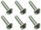 3��10 ������إå����ʥ٥��åԥ󥰥ӥ� 6���� 3��10 Titanium hex button tapping screw (6 pcs.)