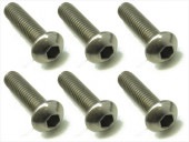 ������إå����ʥ٥ӥ� 6���� 3��12 Titanium hex Pan Head Screw 3��12 (6 pcs.)