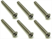 ������إå����ʥ٥ӥ� 6���� 3��22 Titanium hex Pan Head Screw 3��22 (6 pcs.)