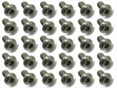 ������إå����ʥ٥ӥ� 30���� 3X6 Titanium hex Pan Head Screw 3X6 (30 pcs.)