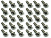 ������إå����ʥ٥ӥ� 30���� 3��8 Titanium hex Pan Head Screw 3��8 (30 pcs.)