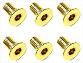 3��6 ���ƥ�쥹�إå������ӥ�(6����) 24K������ɥ�å� 3��6 Stainless steel hex Flat Head Screw (6 pcs.) 24K gold plating