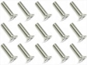 3��12 ���ƥ�쥹�إå������ӥ� 15���� 3��12 Stainless steel hex Flat Head Screw (15 pcs.)