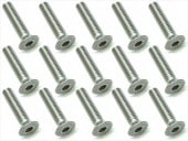 3��14 ���ƥ�쥹�إå������ӥ� 15���� 3��14 Stainless steel hex Flat Head Screw (15 pcs.)
