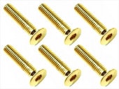 3��14 ���ƥ�쥹�إå������ӥ�(6����) 24K������ɥ�å� 3��14 Stainless steel hex Flat Head Screw (6 pcs.) 24K gold plating
