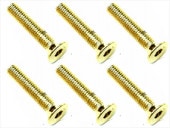3��16 ���ƥ�쥹�إå������ӥ�(6����) 24K������ɥ�å� 3��16 Stainless steel hex Flat Head Screw (6 pcs.) 24K gold plating