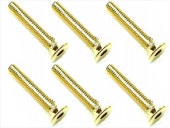 3��18 ���ƥ�쥹�إå������ӥ�(6����) 24K������ɥ�å� 3��18 Stainless steel hex Flat Head Screw (6 pcs.) 24K gold plating