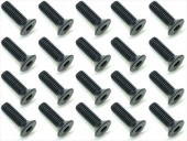 3x10 ��������إå������ӥ� 20���� 3x10 Steel hex Flat Head Screw (20 pcs.)