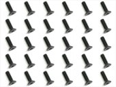 3x10 ��������إå��������ȥ��󥰥ӥ�(30����)��ƬJIS���� 3x10 Steel Steel hex Strong Flat Head Screw (30 pcs.) plate head JIS specification