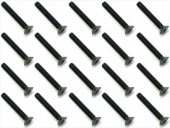 3x20 ��������إå������ӥ� 20���� 3x20 Steel hex Flat Head Screw (20 pcs.)
