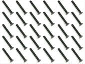 3x22 ��������إå��������ȥ��󥰥ӥ�(30����)��ƬJIS���� 3x22 Steel Steel hex Strong Flat Head Screw (30 pcs.) plate head JIS specification