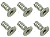 3��8 ������إå��������åԥ󥰥ӥ� 6���� 3��8 Titanium hex Flat tapping screw (6 pcs.)