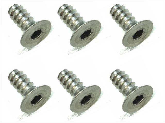 4X10 チタンヘックス皿タッピングビス 6本入 4X10 Titanium hex Flat