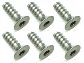 4X12 ������إå��������åԥ󥰥ӥ� 6���� 4X12 Titanium hex Flat tapping screw (6 pcs.)
