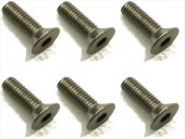 ������إå������ӥ� 6���� 3��10 Titanium hex Flat Head Screw 3��10 (6 pcs.)