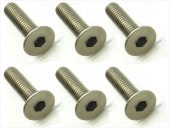 ������إå������ӥ� 6���� 3��12 Titanium hex Flat Head Screw 3��12 (6 pcs.)