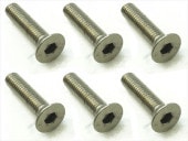 ������إå������ӥ� 6���� 3��13 Titanium hex Flat Head Screw 3X13