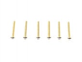 3��15�إå����ܥ���ӥ� (6pcs)��3��15 Stainless Hex Bottan Screw (6pcs) 24K Gold
