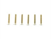 3��15�إå������ӥ� (6pcs)��3��15 Stainless Hex Flat head Screw (6pcs) 24K Gold