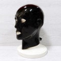 ��Latexa��Latex Rubber Heavy Hood[BLACK][ONE SIZE]