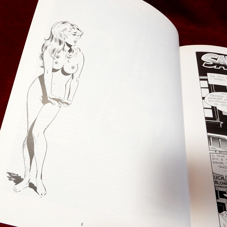 ��ADULT COMIX��Wally Wood